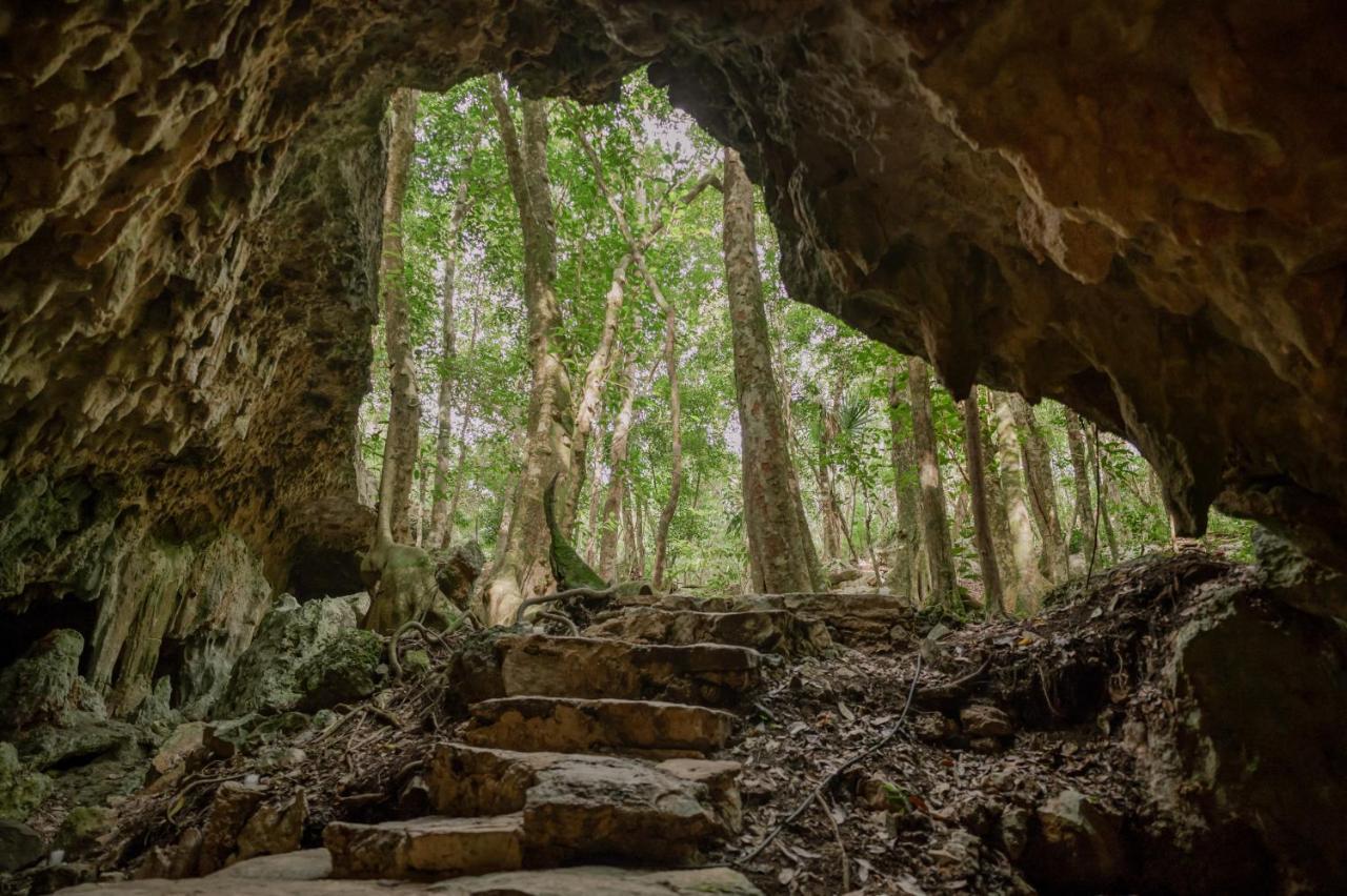 Naum - Secluded Villa With Private Cenote Тулум Екстериор снимка