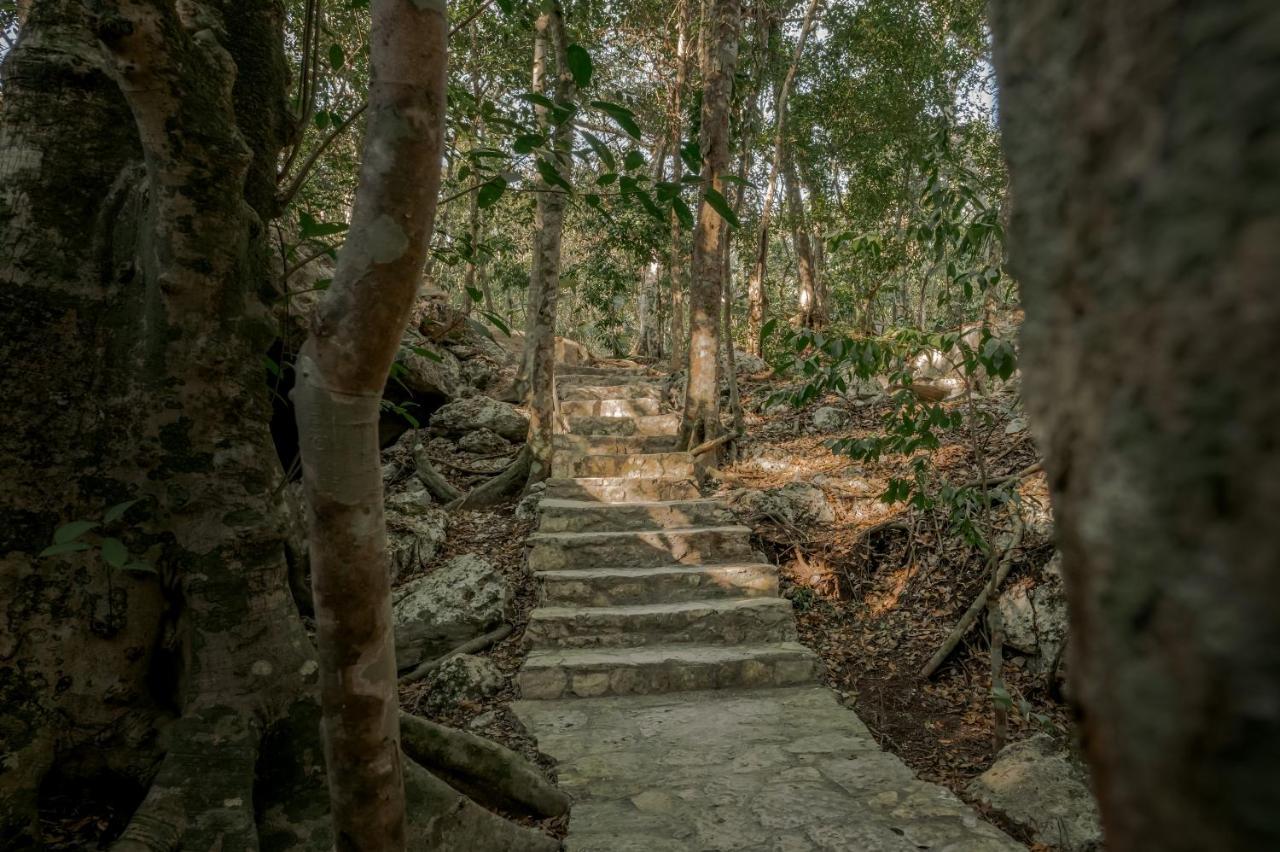 Naum - Secluded Villa With Private Cenote Тулум Екстериор снимка
