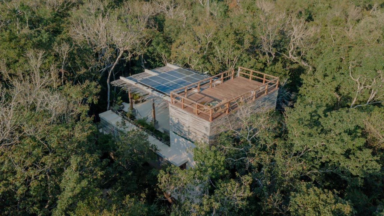 Naum - Secluded Villa With Private Cenote Тулум Екстериор снимка