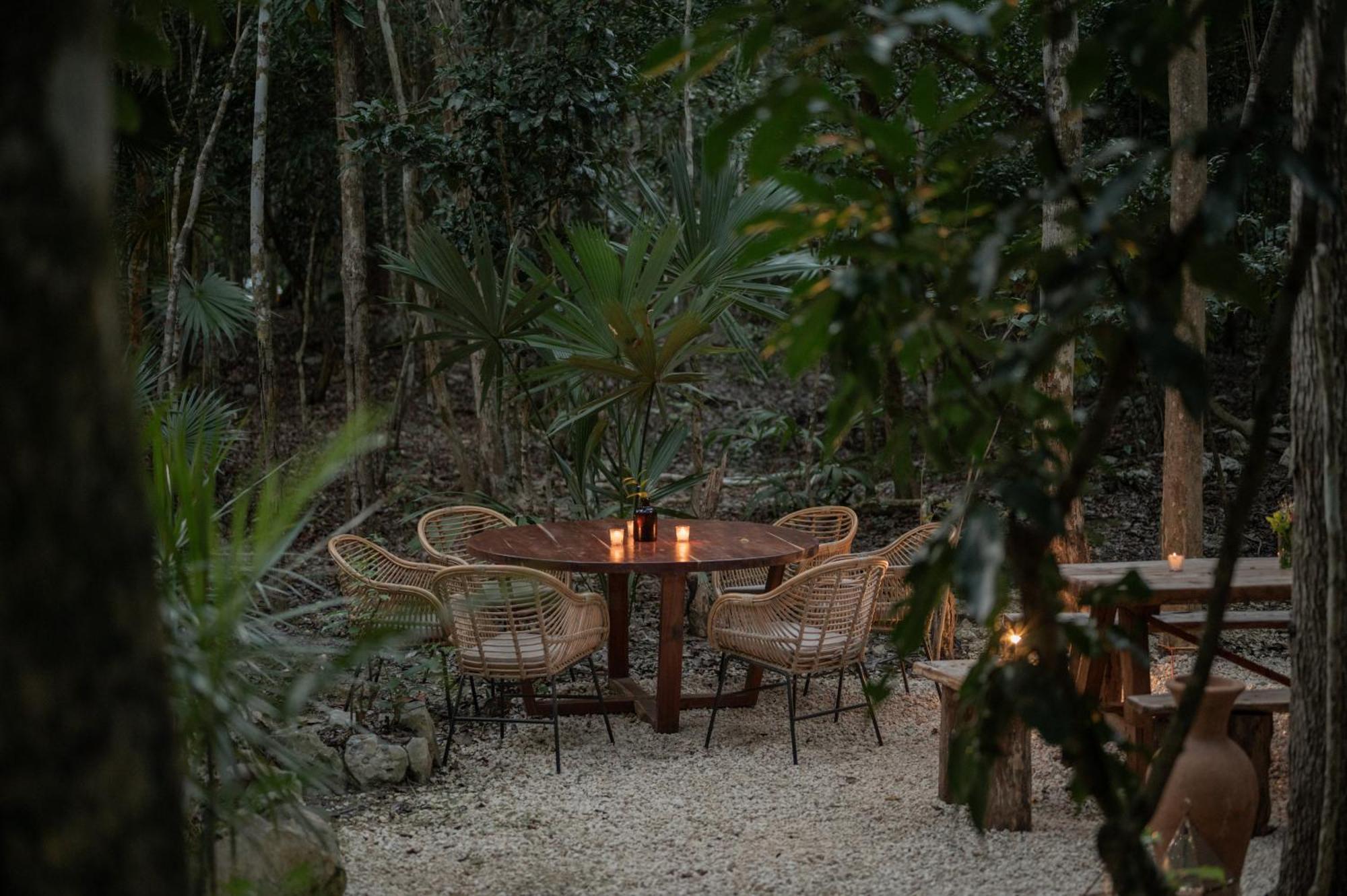 Naum - Secluded Villa With Private Cenote Тулум Екстериор снимка