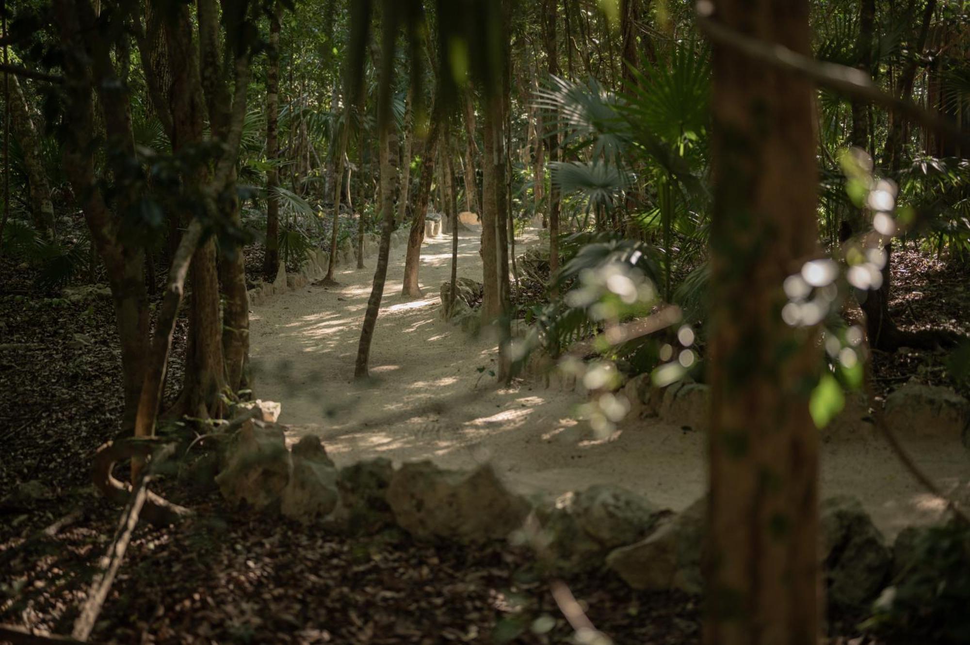 Naum - Secluded Villa With Private Cenote Тулум Екстериор снимка