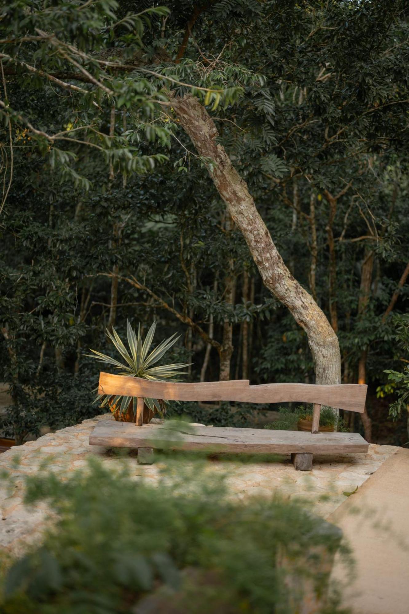 Naum - Secluded Villa With Private Cenote Тулум Екстериор снимка